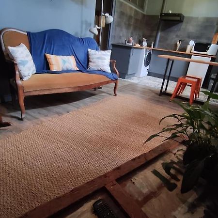 Studio 1 Chambre Ideal Salaries Nomades Монтобан Экстерьер фото
