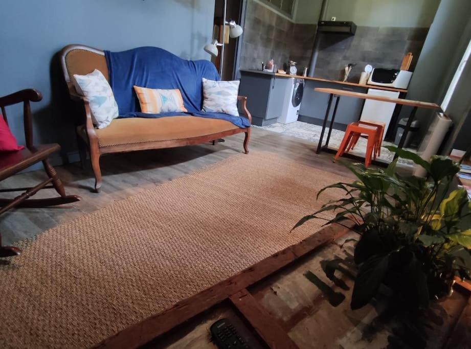 Studio 1 Chambre Ideal Salaries Nomades Монтобан Экстерьер фото