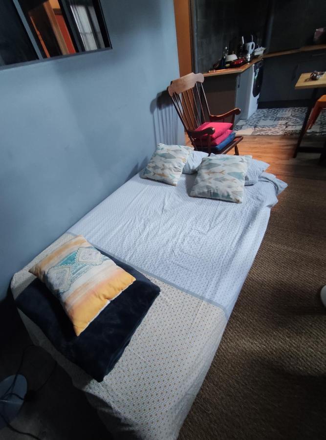 Studio 1 Chambre Ideal Salaries Nomades Монтобан Экстерьер фото